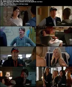 Happy Endings S02E08