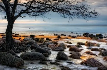 World In Photo 223