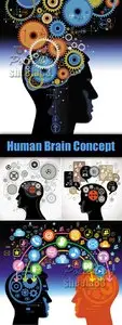 Human Brain Concept Vector