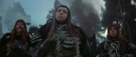 Conan il Barbaro (1982)