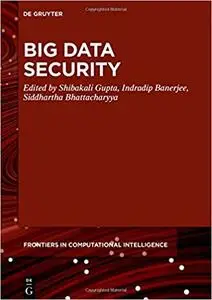 Big Data Security