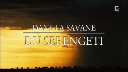 (Fr5) Dans la savane du Serengeti (2016)
