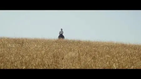 Running Wild (2017)