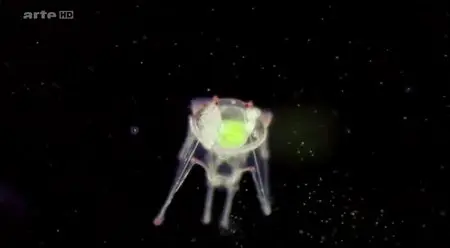 (Arte) Quand les océans deviennent acides (2014)