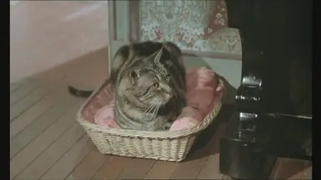 Le Chat (1971)