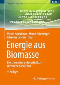 Energie aus Biomasse, 4. Auflage