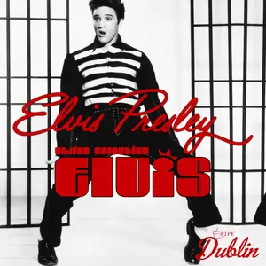 Elvis Presley - Oldies Selection, Elvis (2025) [Official Digital Download]