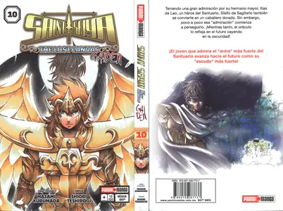 Saint Seiya. The Lost Canvas - Gaiden Tomos 10 - 16