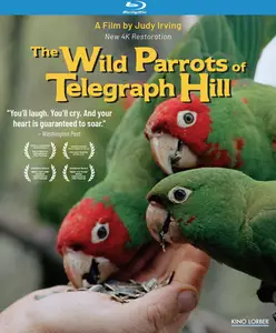 The Wild Parrots of Telegraph Hill (2003)
