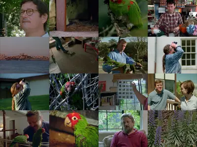 The Wild Parrots of Telegraph Hill (2003)