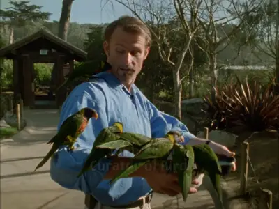 The Wild Parrots of Telegraph Hill (2003)