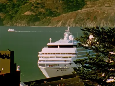 The Wild Parrots of Telegraph Hill (2003)