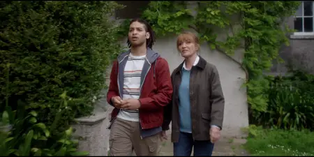 Harry Wild S04E02