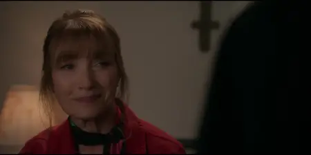 Harry Wild S04E02