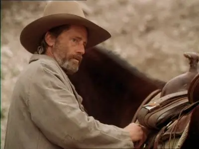 Streets of Laredo (1995)