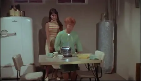 Single Room Furnished (1968)