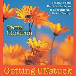 Getting Unstuck: Breaking Your Habitual Patterns and Encountering Naked Reality [Audiobook]