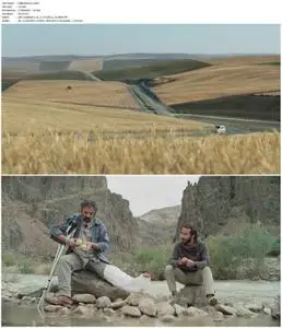 Hit the Road (2021)