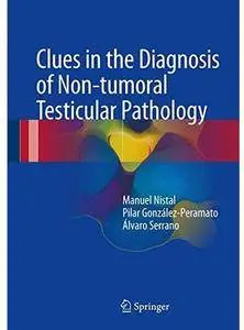 Clues in the Diagnosis of Non-tumoral Testicular Pathology [Repost]