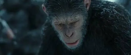 The War - Il pianeta delle scimmie (2017)