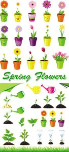 Spring Flowers Vector