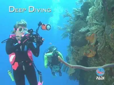 Encyclopaedia of Recreational Diving