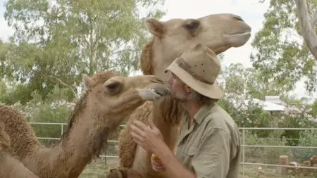 BBC Natural World - Kangaroo Dundee and Other Animals (2016)