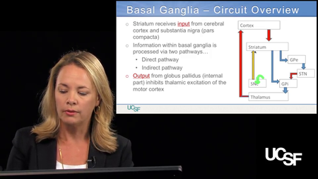 Coursera - Introduction to Clinical Neurology