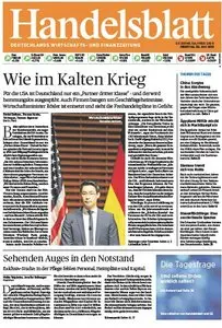 Handelsblatt vom 02 Juli 2013