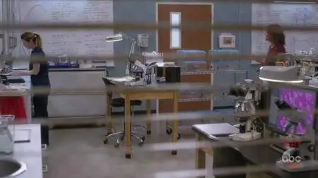 Grey's Anatomy S14E15
