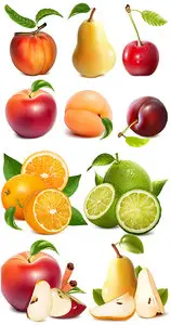 Apple, pear, peach, orange, fruit vector