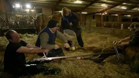 BBC - This Farming Life (2016)