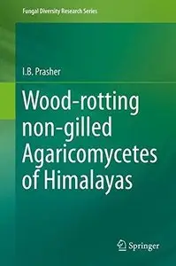 Wood-rotting non-gilled Agaricomycetes of Himalayas