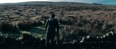 The Dig (2018)