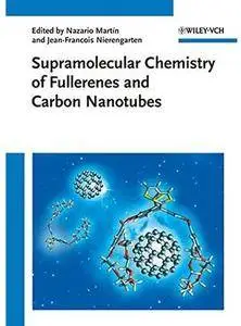 Supramolecular Chemistry of Fullerenes and Carbon Nanotubes [Repost]