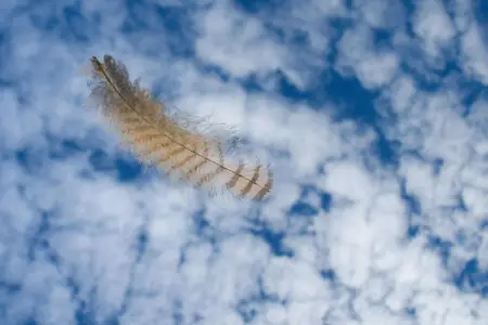 Cloud Widescreen Wallpapers