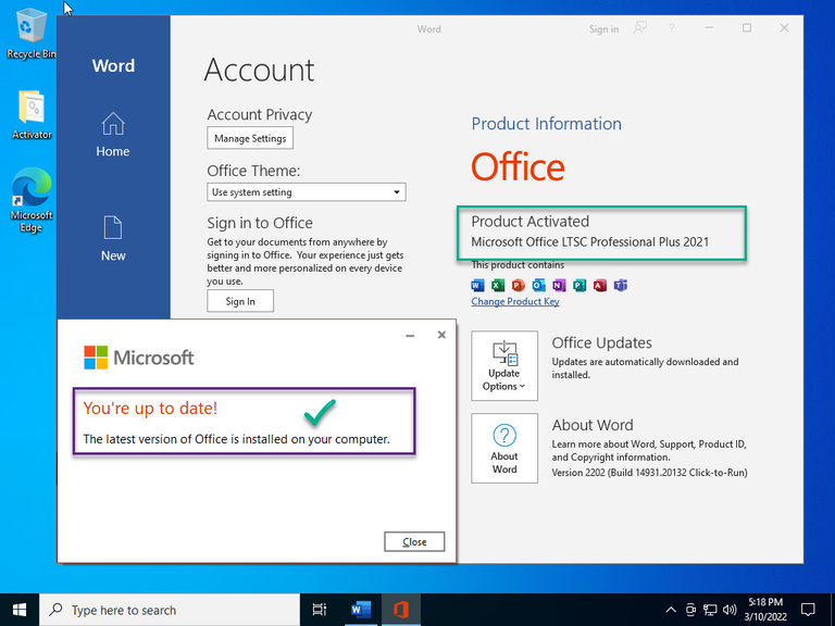 Ltsc mso. Office 2025 professional plus. microsoft office 2025 pro. ms office 2025 интерфейс. windows 10 iot корпоративная ltsc.