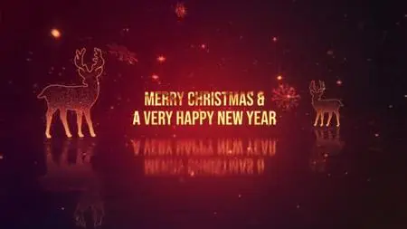 Christmas & New Year Wishes 49494918