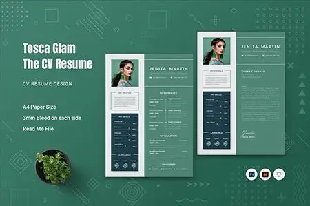 Tosca Glam CV Resume