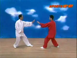 Xingyi Five Element Boxing: Xingyi Quan Series [repost]
