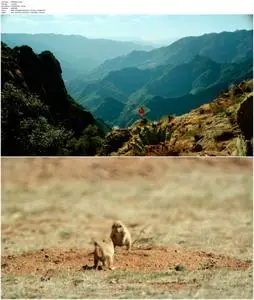 Mexico: Earth's Festival of Life (2017)