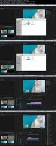 Premiere Pro CC: The Ultimate Video Editing Online Course