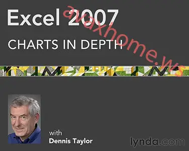 Lynda.com - Excel 2007: Charts in Depth (repost)