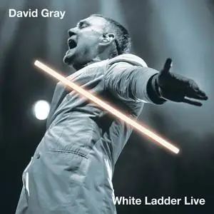 David Gray - White Ladder Live (2023)