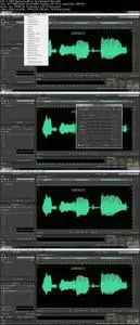 Learning Adobe Audition CS6 The Easy Way