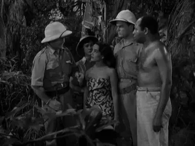 Bomba on Panther Island (1949)