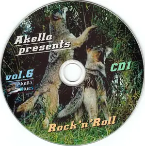 VA - Akella Presents Vol. 6: Rock'n'Roll (2013)