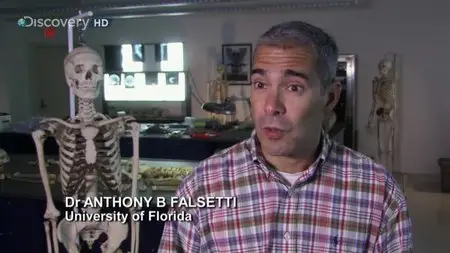 Discovery Channel - What's That About?: The Forensic Lab (2007)