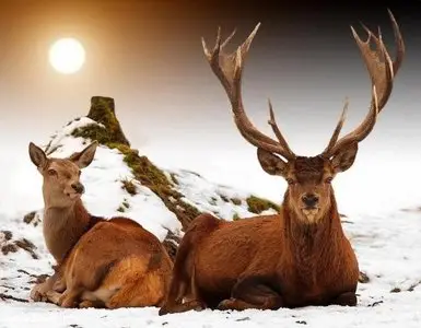 World In Photo 256