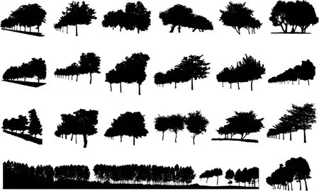 Mass trees